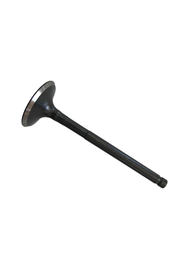 HR-ORT F3402	EMME SUBAP